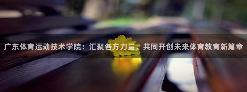 杏宇代理：广东体育运动技术学院：汇聚各方力量，共同开创未来体育教育新篇章