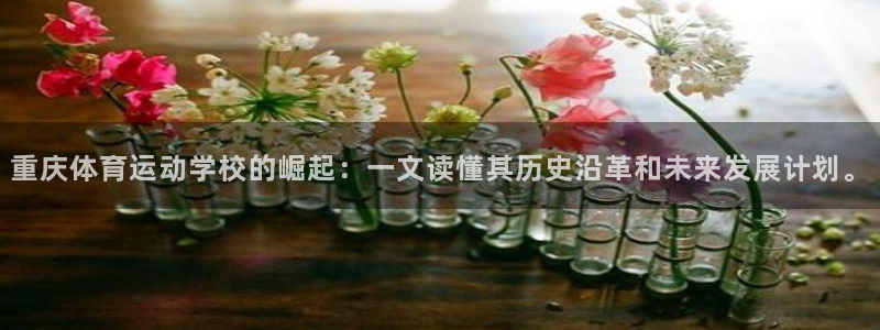 杏宇：重庆体育运动学校的崛起：一文读懂其历史沿革和未来发展计划。