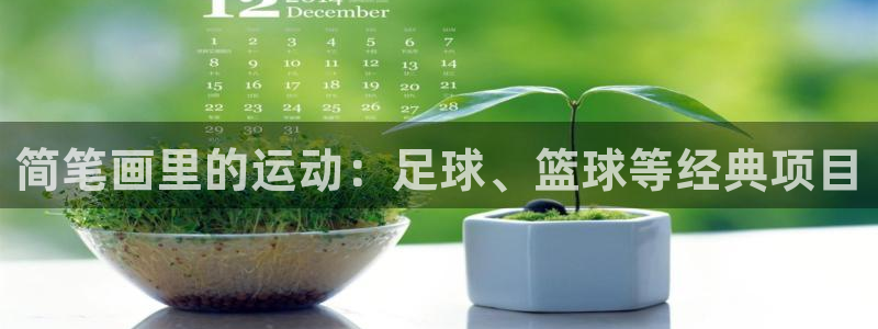 杏宇体育凯捷平台主管：简笔画里的运动：足球、篮球等经典项目