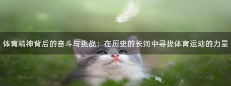 杏宇能源：体育精神背后的奋斗与挑战：在历史的长河中寻找体育运动的力量