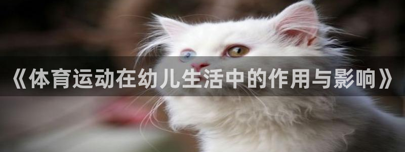 杏宇4