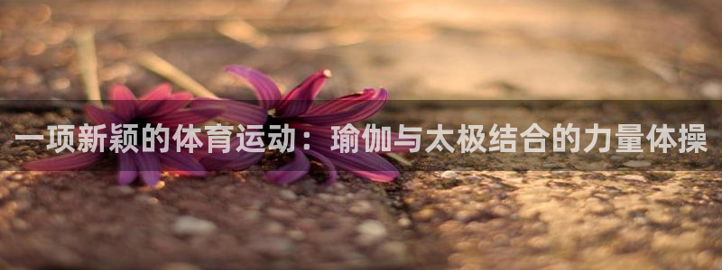 杏宇注册：一项新颖的体育运动：瑜伽与太极结合的力量体操