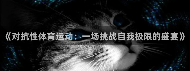 上海杏宇汽车电子有限公司：《对抗性体育运动：一场挑战自我极限的盛宴》