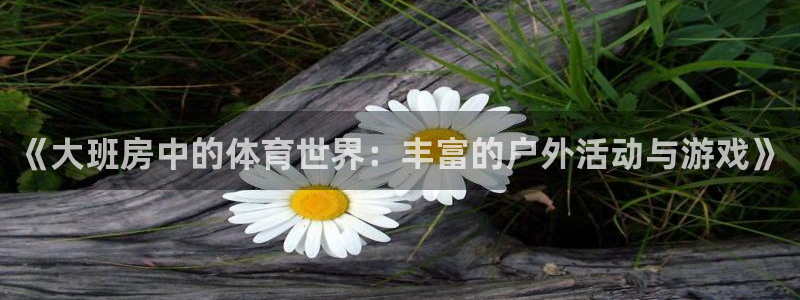 杏宇注册平台登录网址是多少：《大班房中的体育世界：丰富的户外活动与游戏》