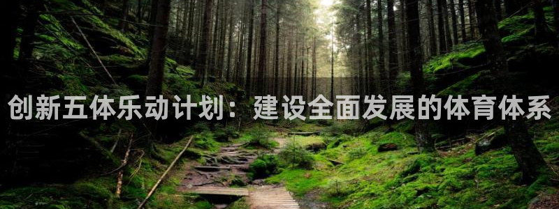 杏宇体育凯捷平台主管：创新五体乐动计划：建设全面发展的体育体系