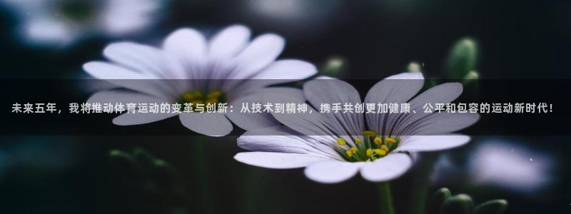 杏宇娱乐：未来五年，我将推动体育运动的变革与创新：从技术到精神，携手共创更加健康