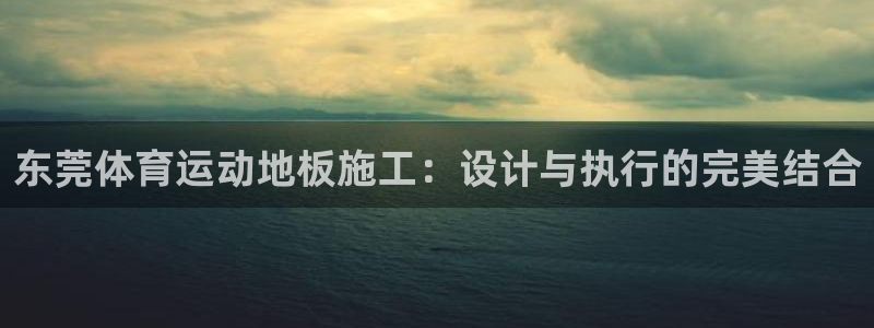 杏宇注册平台登录：东莞体育运动地板施工：设计与执行的完美结合