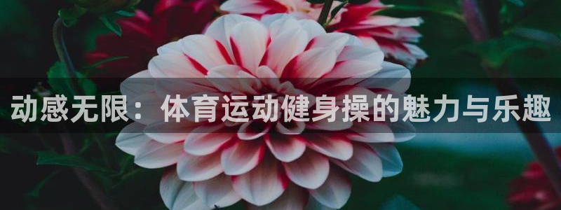 杏宇平台登录官网：动感无限：体育运动健身操的魅力与乐趣