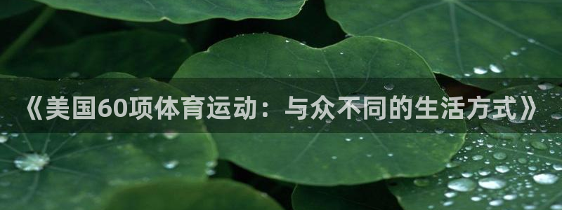 杏宇3登陆：《美国60项体育运动：与众不同的生活方式》