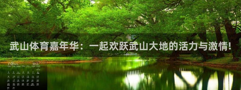 东莞市杏宇电子科技有限公司：武山体育嘉年华：一起欢跃武山大地的活力与激情!