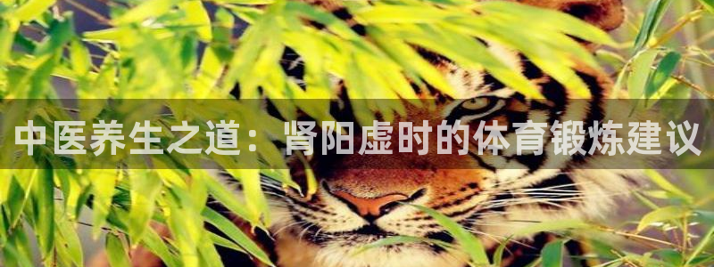杏宇平台主管：中医养生之道：肾阳虚时的体育锻炼建议
