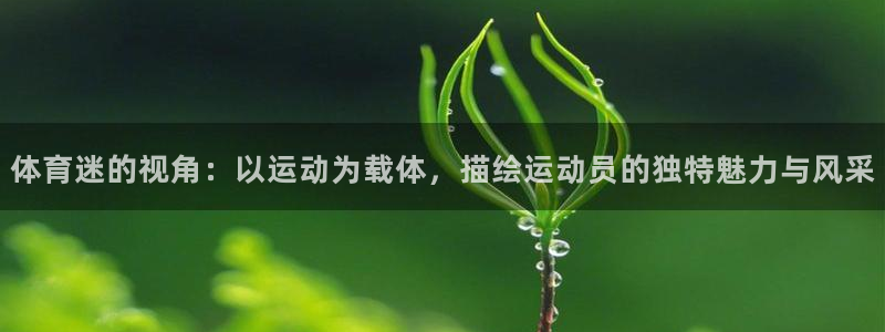 杏宇体育f开户：体育迷的视角：以运动为载体，描绘运动员的独特魅力与风采