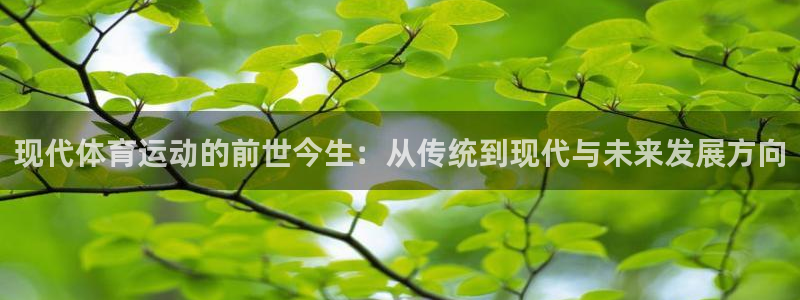 杏宇平台主管：现代体育运动的前世今生：从传统到现代与未来发展方向