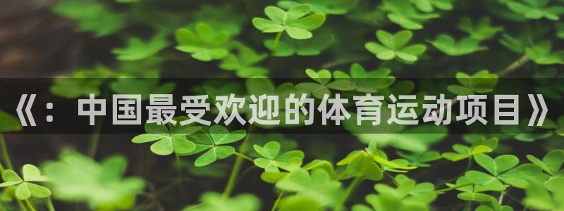 杏宇平台招商：《：中国最受欢迎的体育运动项目》
