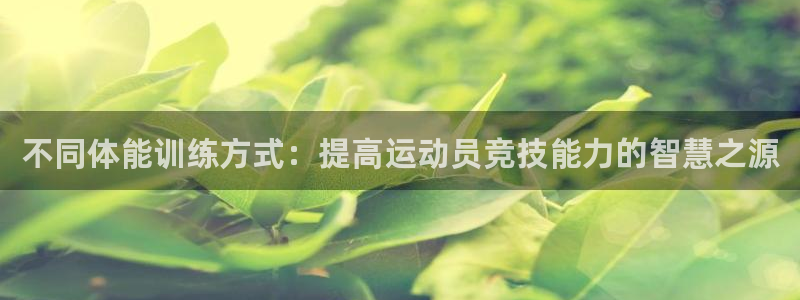 杏宇体育2：不同体能训练方式：提高运动员竞技能力的智慧之源