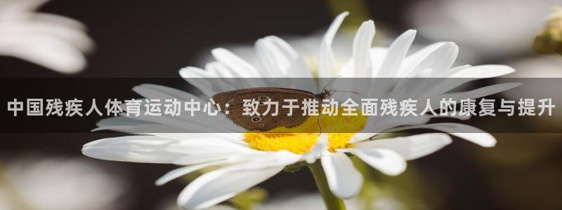 杏宇凯捷开号链接：中国残疾人体育运动中心：致力于推动全面残疾人的康复与提升
