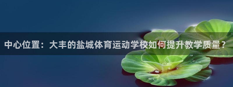 杏宇平台主管：中心位置：大丰的盐城体育运动学校如何提升教学质量？