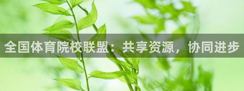 杏宇平台：全国体育院校联盟：共享资源，协同进步