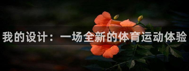 杏宇招商：我的设计：一场全新的体育运动体验
