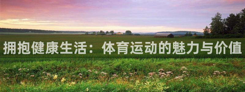 杏宇注册平台登录网址：拥抱健康生活：体育运动的魅力与价值
