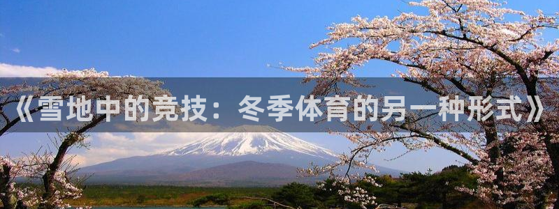 杏宇官网：《雪地中的竞技：冬季体育的另一种形式》