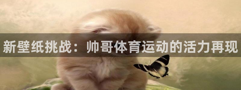 杏宇kgame：新壁纸挑战：帅哥体育运动的活力再现