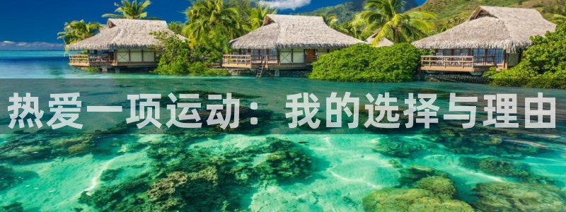 杏宇：热爱一项运动：我的选择与理由
