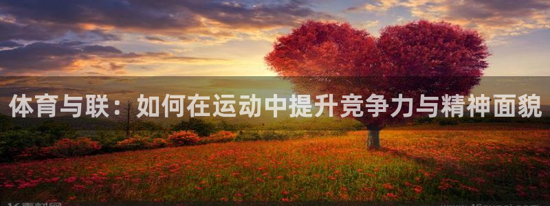 杏宇体育热门赛事有哪些：体育与联：如何在运动中提升竞争力与精神面貌