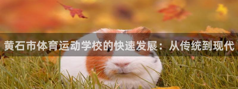 杏宇平台登录官网：黄石市体育运动学校的快速发展：从传统到现代