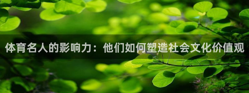 杏宇4登录：体育名人的影响力：他们如何塑造社会文化价值观