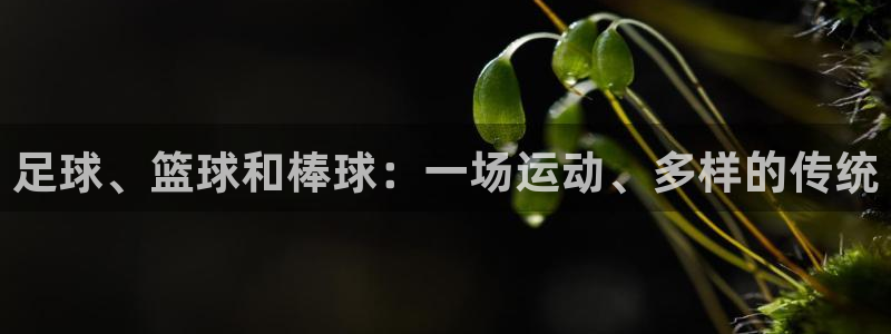 杏宇4代理：足球、篮球和棒球：一场运动、多样的传统